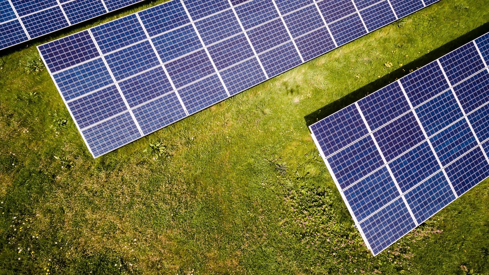 Aerial view of solar panels under maintenance